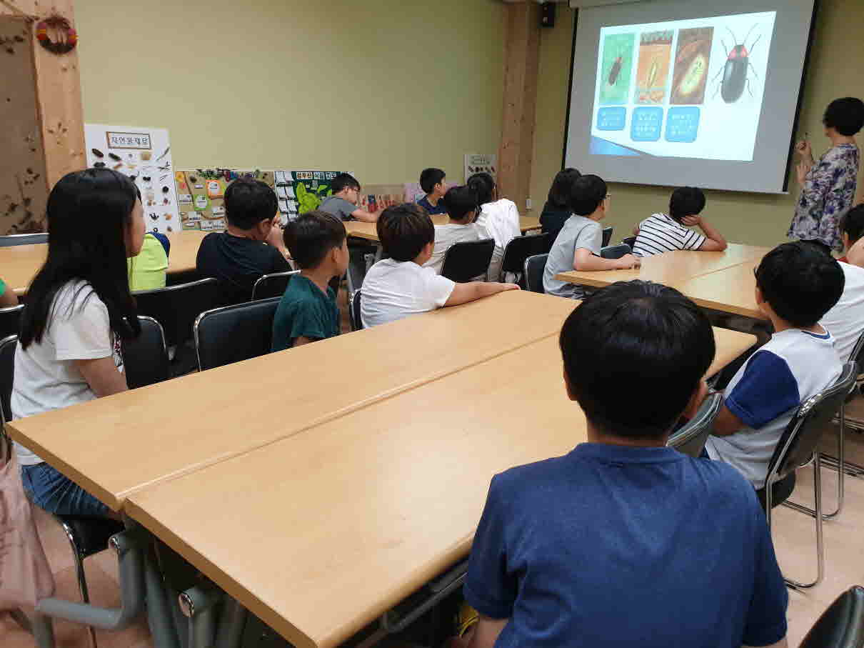 [대전충남생태보전시민모임] 도토리와 솔방울로 만드는 '자연물 창작교실'  - 반딧불이 LED등 만들기 - 07월 29일 활동사진 썸네일 이미지