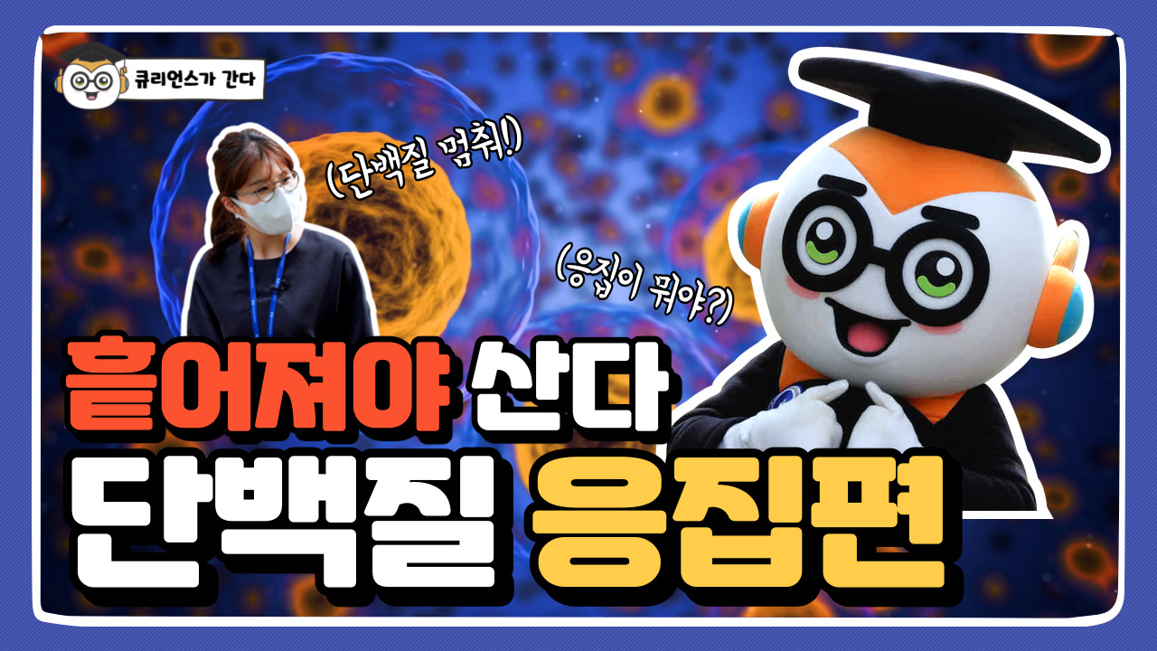큐리언스가 간다 (단백질 멈춰!) 흩어져야 산다(응집이 뭐야?) 단백질 응집편