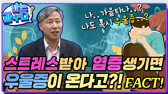 나는 과수다 나..가을타나..? 나도 혹시 우울증..? 스트레스받아 염증생기면 우울증이 온다고?! FACT!
